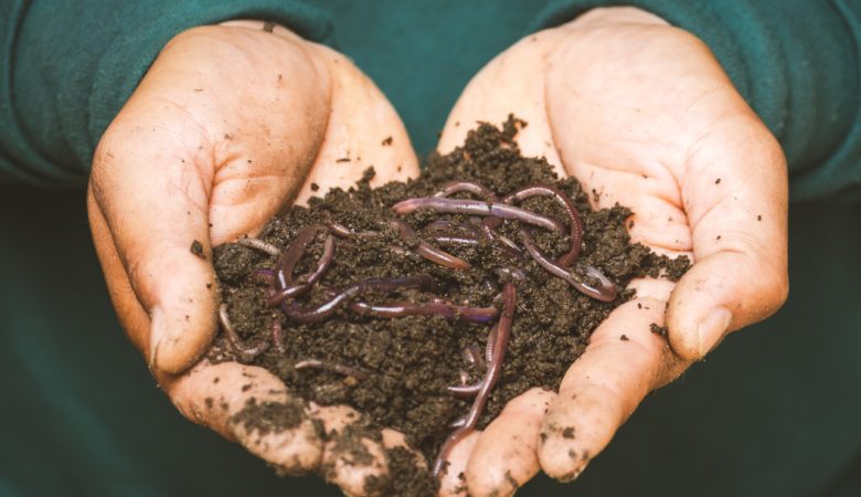 Vermicomposting